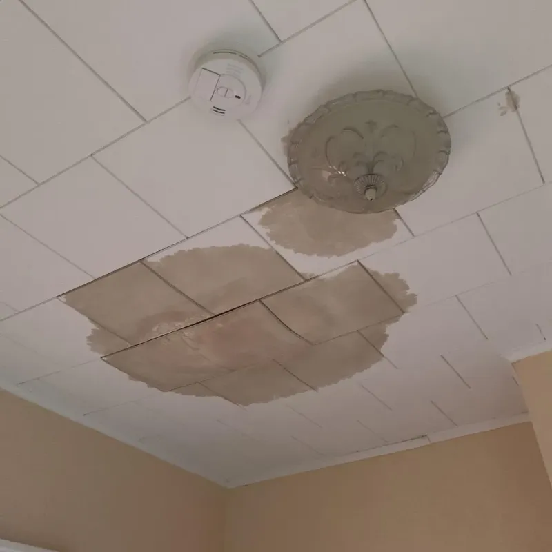 Ceiling Water Damage Repair in Wellsburg, WV