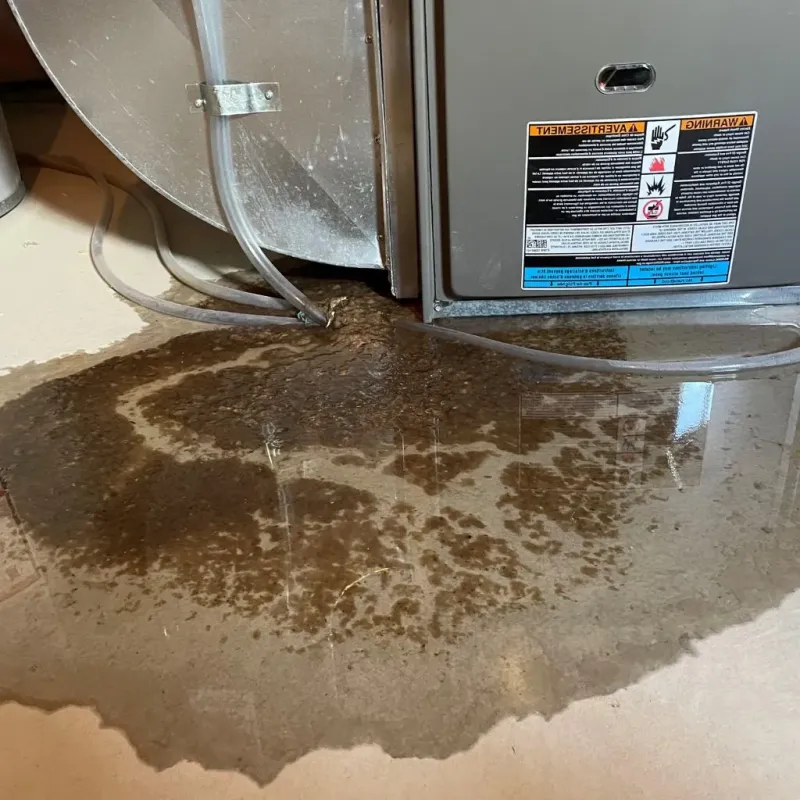 Pipe Burst and Leak Restoration in Wellsburg, WV