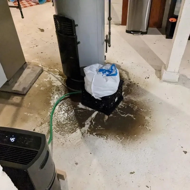 Sewage Backup Cleanup Service in Wellsburg, WV